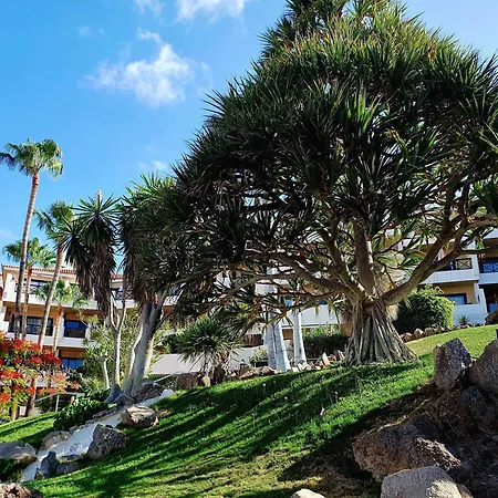 Spacious With Private Garden In Tenerife South * San Miguel de Abona