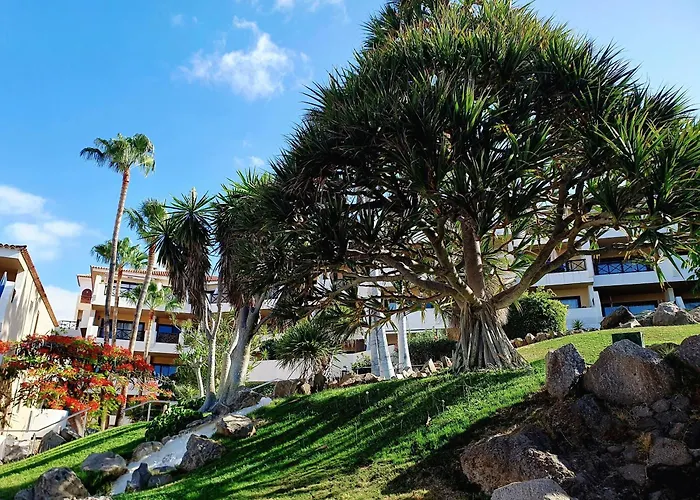 Spacious With Private Garden In Tenerife South * San Miguel de Abona